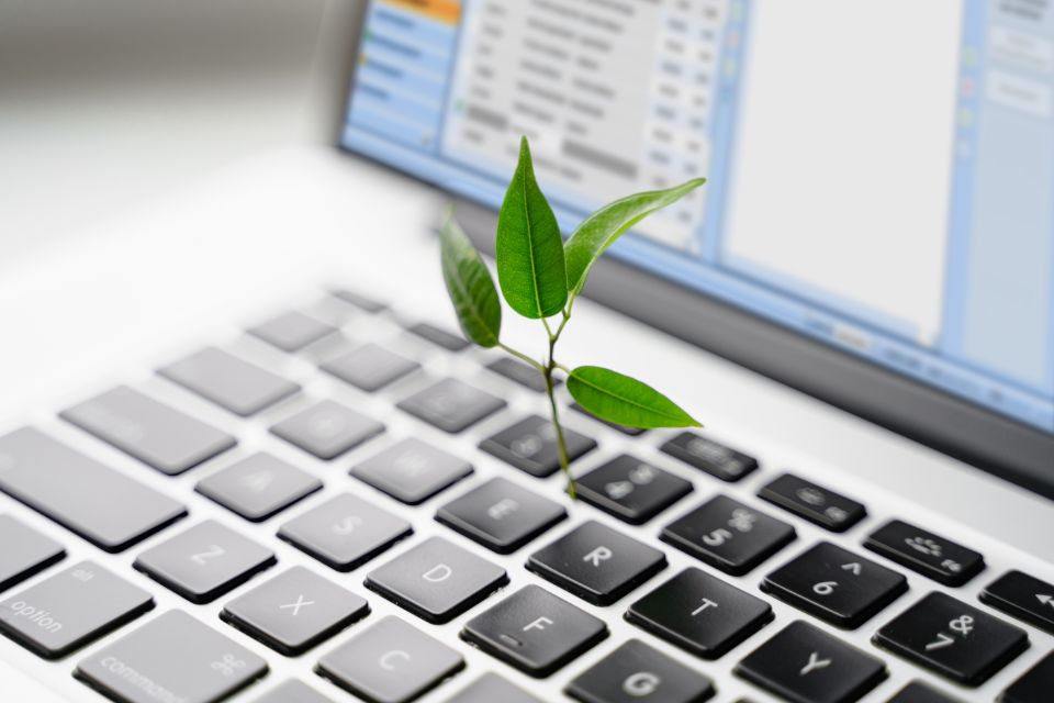 Beschaffungsmanagement